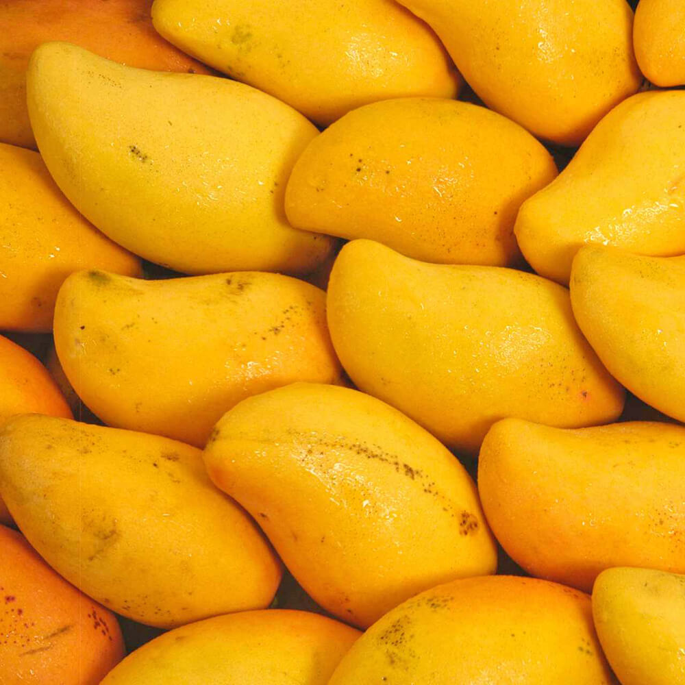 mango-chaunsa-premium-pakistani-freshleaf-dubai-uae-img02