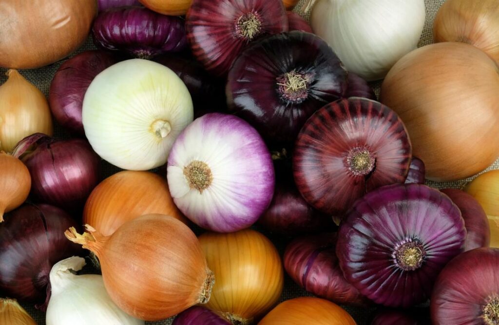 red-and-white-onions